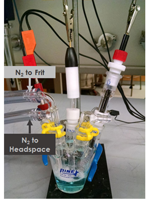 Purging the Electrochemical Cell