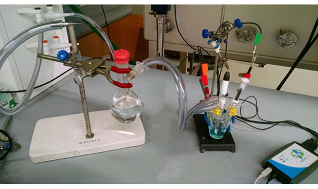 Concentration Sensitive Electrochemical Cell Setup